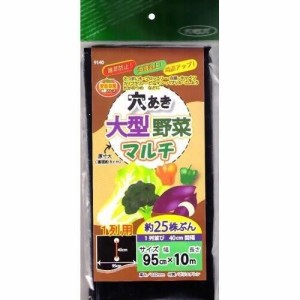 フォレスト マルチシート 穴あき大型野菜マルチ 1条用 95cmX10M