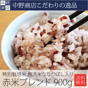 北海道から直送！中野商店オリジナルブレンド 赤米入り ななつぼし 300g 2合 ×3袋入り 合計900g 6合)