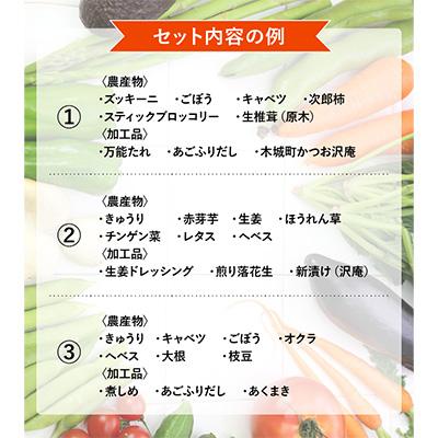 ふるさと納税 木城町 農家おまかせ木城の旬野菜 全6回