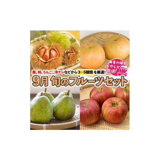 ふるさと納税 茨城県 つくばみらい市 旬のフルーツセット 9月号 田舎の頑固おやじが厳選！