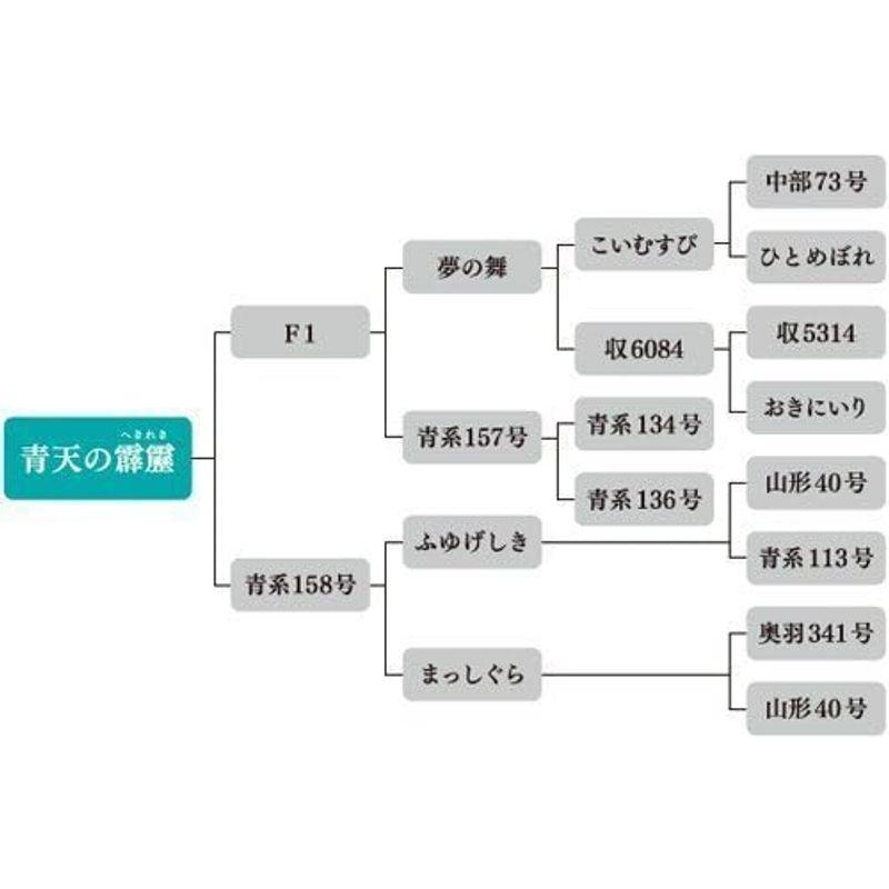 精米青天の霹靂 青森県産初の米最高評価「特A」米 5キロ