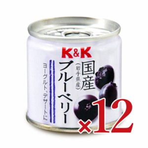 国分 KK 国産 ブルーベリー缶 80g × 12個