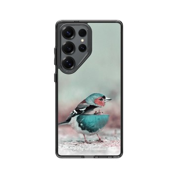 Galaxy S25 Ultra Clear 酷墨灰 - Julien Tabet - 水鳥