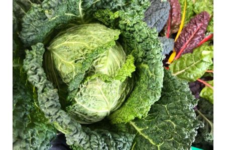 野菜ソムリエ厳選！季節の野菜セット