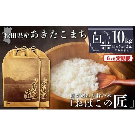 ふるさと納税 秋田県産おばこの匠あきたこまち　10kg （5kg×2袋）白米 秋田県大仙市