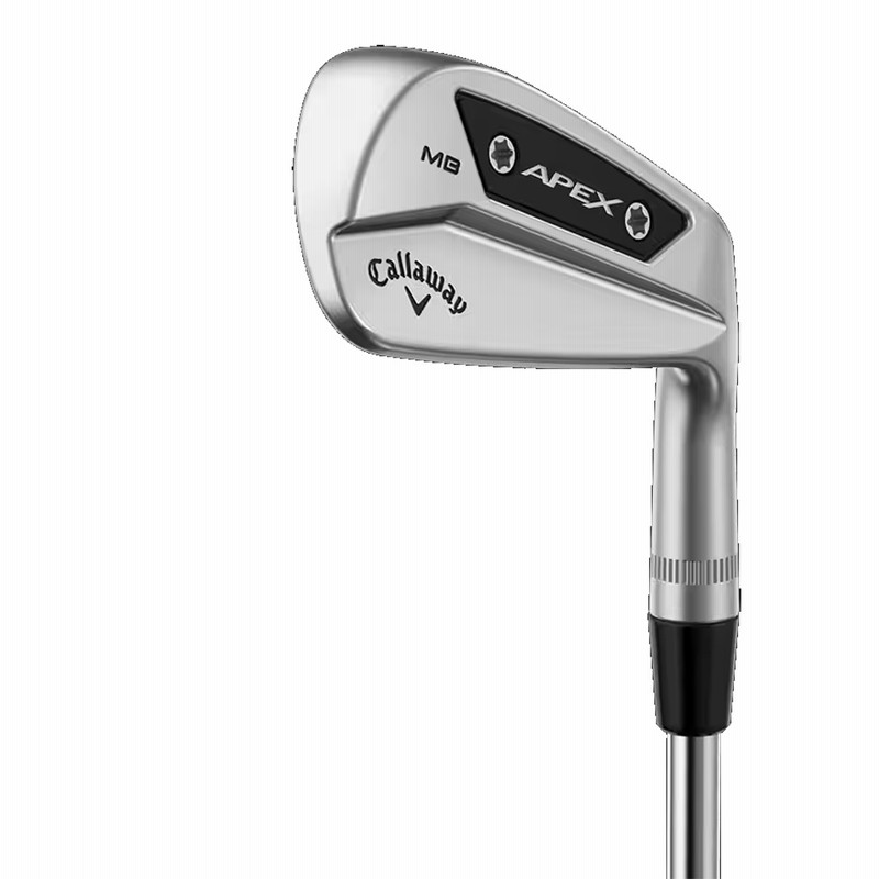 キャロウェイ APEX PRO(2019) MODUS3 TOUR120 Callaway Golf APEX PRO 19 Iron N.S.PRO MODUS3 TOUR 120 from