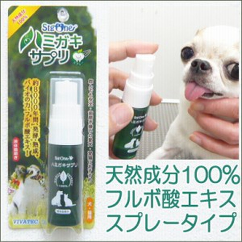 犬 歯磨き シグワン ハミガキサプリ スプレー チワワ 小型犬 デンタルケア 歯磨き 通販 Lineポイント最大1 0 Get Lineショッピング