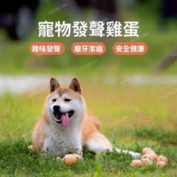 ☀️貓狗市集☀️寵物玩具 寵物彈力球 貓狗玩具 雞蛋彈力球 安全無毒 自嗨神器