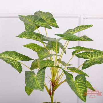 仿真把束植物葉子北歐綠植墻裝飾塑料植物水芋插花配葉兔子葉