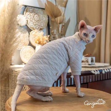 GINGERAIN 斯芬克斯無毛貓衣服夾棉無骨縫保護敏感皮膚保暖衛衣