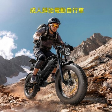 🔸臺灣熱銷🔸20吋胖胎電動車 電動自行車 電助力自行車 變速助力車 沙灘鋰電電瓶車 成人山地自行車 電單車