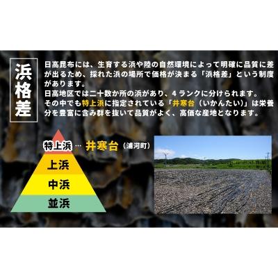 ふるさと納税 浦河町 井寒台産　お徳用日高昆布(300g×2)と二等根昆布(200g×2)[34-1010]