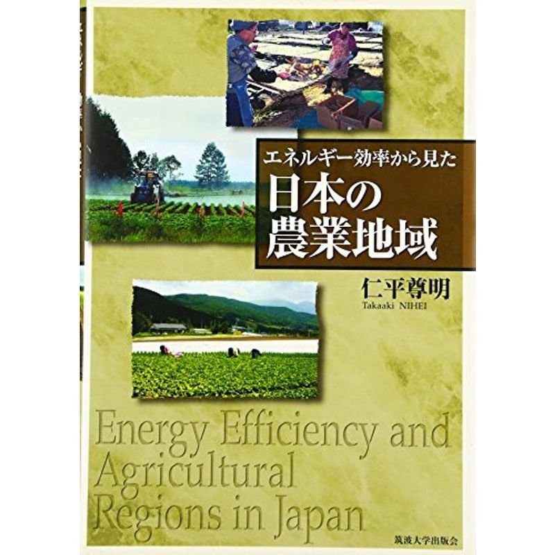 エネルギー効率から見た日本の農業地域