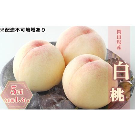 ふるさと納税 桃 2024年 先行予約 白桃 5玉 合計約1.3kg もも モモ 岡山県産 国産 フルーツ 果物 ギフト 岡山県玉野市