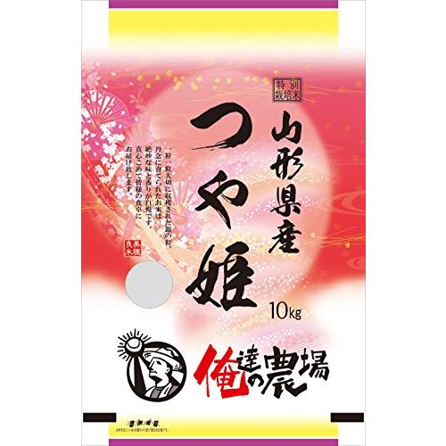 精米 山形県産つや姫 10kg 令和5年産