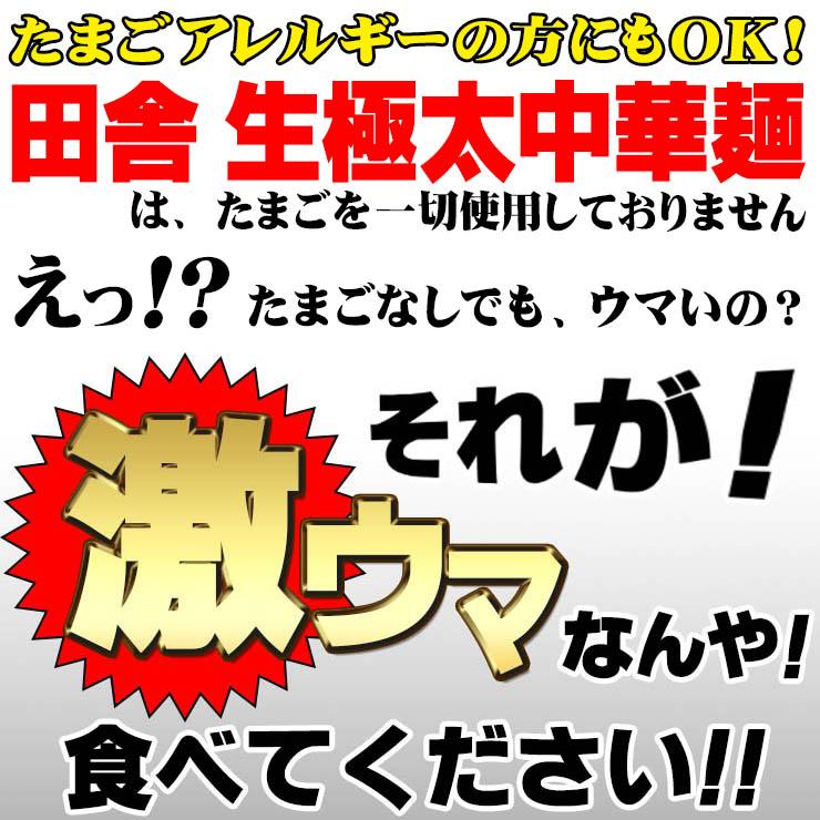 送料無料 5種から選べる 讃岐 もちもちすぎる 生極太 ラーメン 3食セット セール ポイント消化 お取り寄せ お試し グルメ 有名店