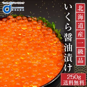 北海道産 いくら 醤油漬け 250g イクラ 鮭子 鮭 北海道 海鮮丼 送料無料 ギフト 魚卵 ロス お歳暮 御歳暮 クリスマス