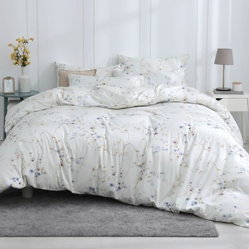 鴻宇 HongYew - 雙人特大床包枕套組 300織美國棉 精梳棉-莉雅