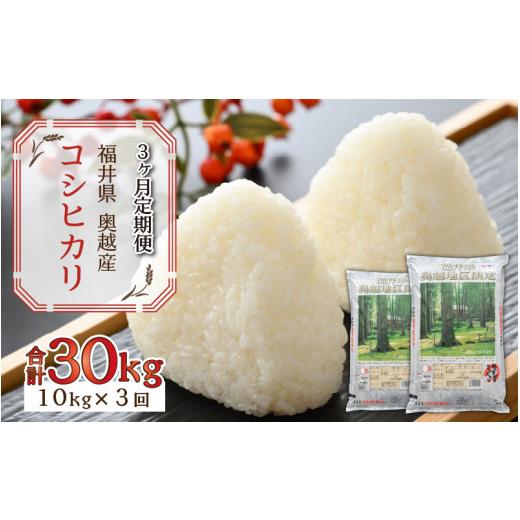 ふるさと納税 福井県 勝山市 令和5年産 新米 福井県産奥越コシヒカリ5kg ×2袋（10kg × 3ヶ月） [F-015044]