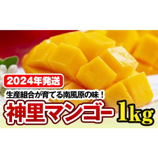 ふるさと納税 沖縄県 南風原町 生産組合が育てる南風原の味　神里マンゴー1kg