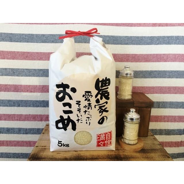 ミルキークイーン白米 5ｋｇ 令和５年産 茨城県産 お弁当 おにぎり