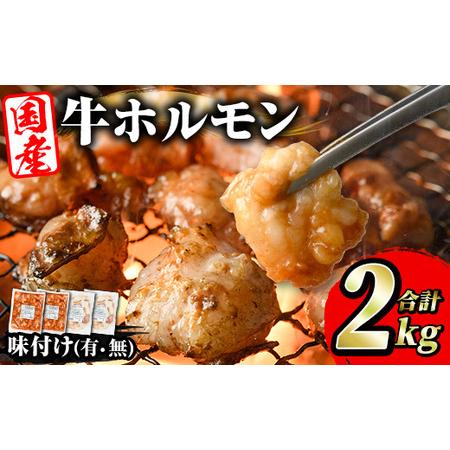 ふるさと納税 akune-2-63 スターゼン特選！国産牛ホルモン2種セット(合計2kg) 国産 特産品 牛 小腸 味付 パック 詰め合わせ 詰合せ 炒め物 .. 鹿児島県阿久根市