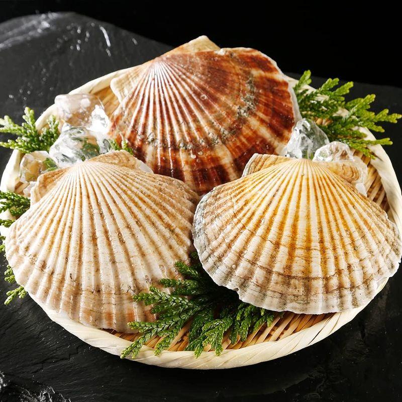 北海道産 活ホタテ 約3kg 殻付きホタテ 海鮮ギフト お取り寄せグルメ 貝柱 帆立