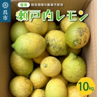 大崎下島産 栽培期間中農薬不使用 瀬戸内レモン 10kg