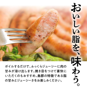 奄美島豚 あかりんとん ソーセージ５種セット ソーセージ 5種 詰め合わせ セット 肉 お肉 島豚 ブランド豚 ホワイト スモーク ジャンボフランク ボロニア ボンレスハム ハム ふっくら ジューシー BBQ ギフト 贈り物 プレゼント お取り寄せ 鹿児島 奄美大島 カイセイ ご当地 グルメ キャンプ飯 お弁当 おかず-1001