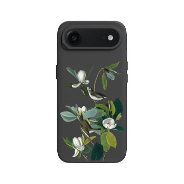 iPhone Air SolidX 黑 - The British Library - 美洲鳥譜 ‧ 歌鶲