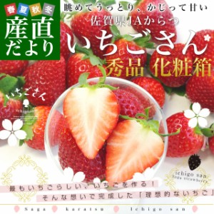 送料無料 佐賀県より産地直送 JAからつ 新品種いちご いちごさん 秀品 ３Lサイズ 500g化粧箱 20粒から24粒 イチゴサン イチゴさん いちご