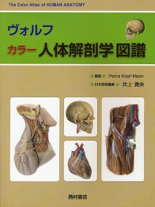 ヴォルフ カラー人体解剖学図譜