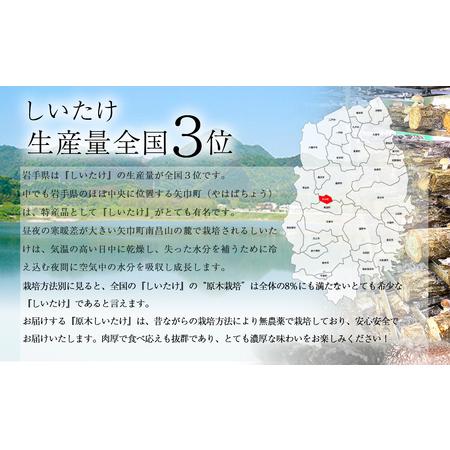 ふるさと納税 2024年3月発送　希少！原木しいたけ「生椎茸と干し椎茸（丸干し・スライス）セット」 岩手県矢巾町