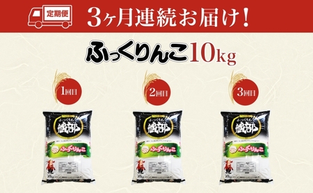 北海道 定期便 3ヵ月連続3回 木古内産 ふっくりんこ 10kg 特A 精米 米 お米 白米 北海道米 道産米 ブランド米 ごはん ご飯 ふっくら 産地直送 木古内公益振興社 送料無料