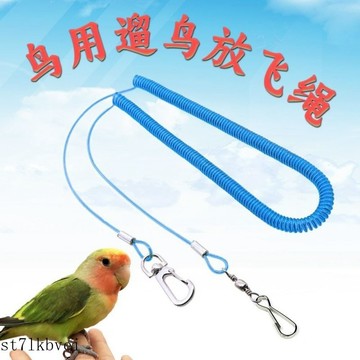 鸚鵡腳鏈 鸚鵡外出繩 鳥腳套 鳥腳環 不鏽鋼腳鍊 鸚鵡腳環 鸚鵡活環 不銹鋼鸚鵡腳鏈 鸚鵡日用品鸚鵡放飛防咬外出遛鳥繩八
