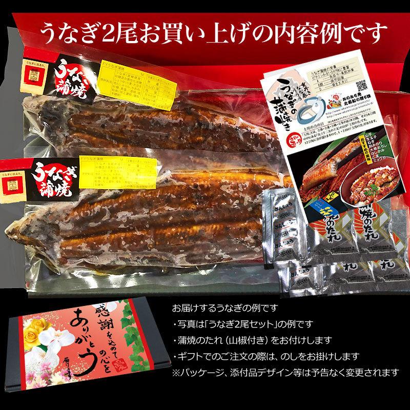 ギフト うなぎ 蒲焼き 国産 鰻 うなぎ蒲焼き 九州産 3尾 特大(約230〜250g前後×3尾) 送料無料