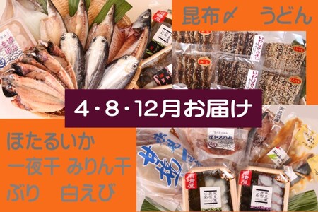 堀与 氷見の味を食べつくす！オールインワンセット うどん カレー 富山県 氷見市 魚 魚介 ブリ ホタルイカ エビ 加工品 詰め合わせ 定期便