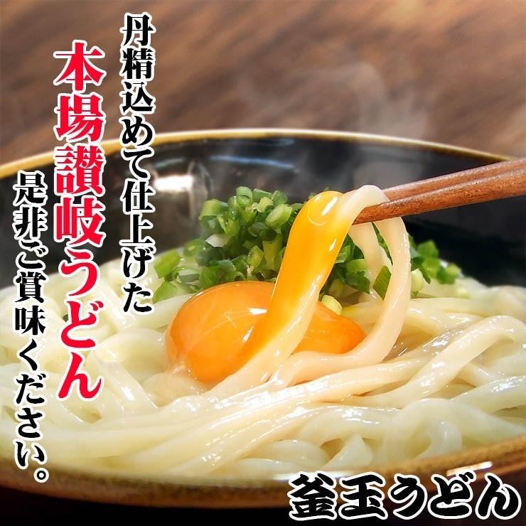 純生 讃岐 うどん ドーンと6食 便利な個包装 300g×2袋 600g 醤油 つゆ プレゼント 送料無料 最安値挑戦  得トクセール 特産品 訳あり 激旨