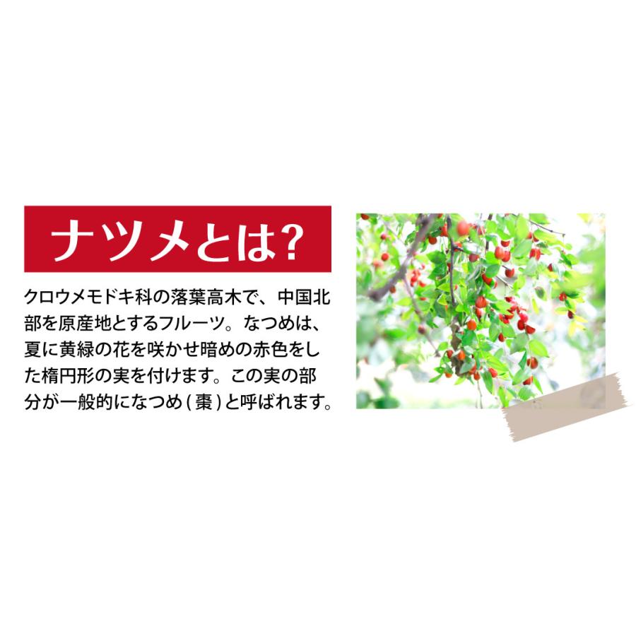 ドライフルーツ ナツメ 500g 干しなつめ（250g×2袋）棗 乾燥 送料無料 ポスト投函 食品