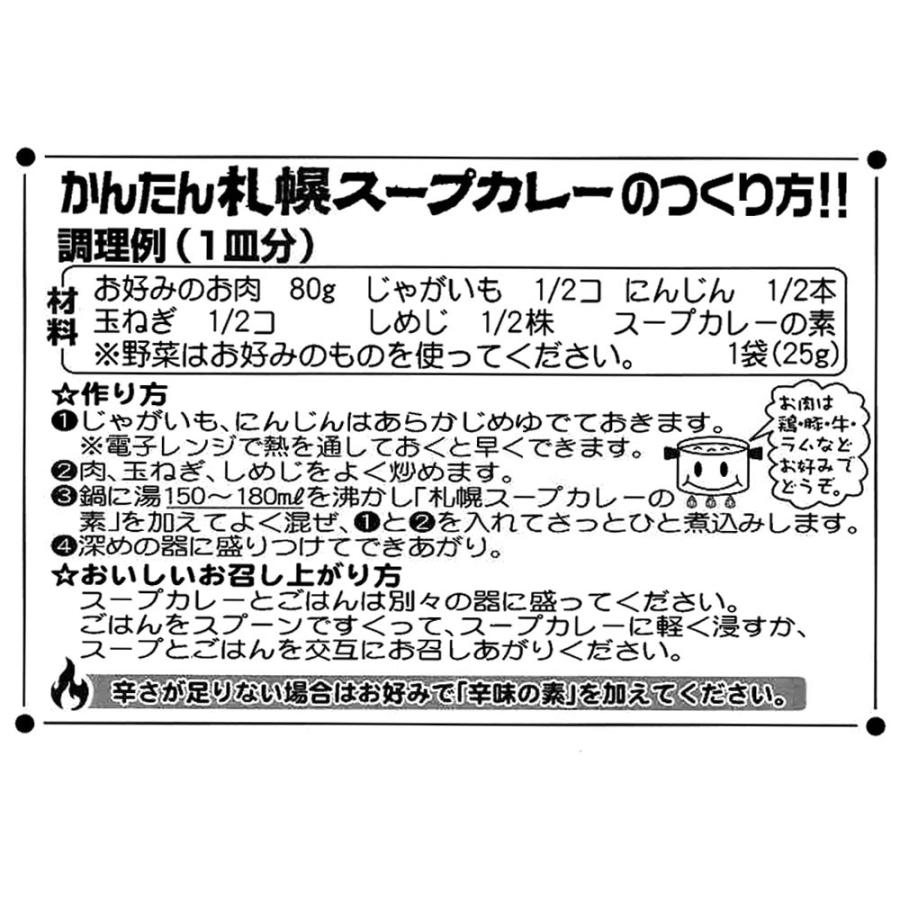 札幌スープカレーの素 スープカレーの素 辛味の素付き 20食分 セット （スープカレーの素5P×4、辛味の素5P×4） スープカレー 北海道 メール便 送料無料