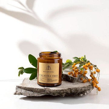 【SIO Crystal希奧水晶】植物精油蠟燭 【靜謐茶樹森林】