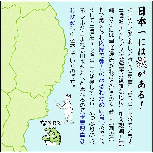 乾燥 カットわかめ 100ｇ 送料無料 国産 三陸産 ふえるわかめ 味噌汁 サラダ 海藻