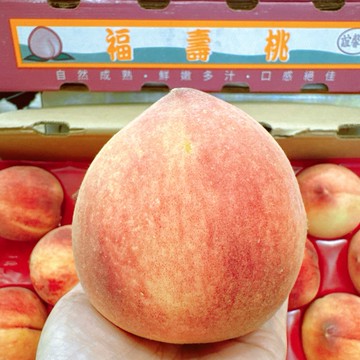【帕查嬤嬤】🇺🇸美國 加州 誼馨園 桃仙子 糖巨人 水蜜桃🍑｜美國水蜜桃禮盒