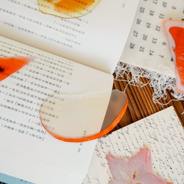 🎅聖誕禮物🌲本月新品【UD LAB】創意水果切片書籤 共五款 CB-H07010