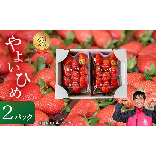 ふるさと納税 茨城県 鉾田市 畑のいちご2パック