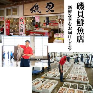 プロが選んだ！旬の鮮魚詰め合わせセット（刺身用２種と塩焼・煮付用下処理済各２匹づつ）日本海・能生漁港直送！