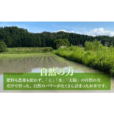 ふるさと納税 伊与衛門農園の自然栽培コシヒカリ玄米 5kg  伊与衛門農園の特別栽培米 令和5年産新米＜温度と湿度を常時管理し.. 福井県あわら市