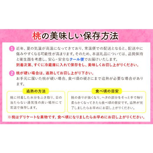 ふるさと納税 和歌山県 紀の川市 あら川の桃 約4kg 9-12玉 山名農園 《2024年6月下旬-9月中旬より順次出荷》 和歌山県 紀の川市 桃 もも モモ 白鳳 白桃 フル…