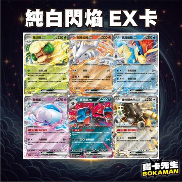 純白閃焰 EX卡 SV11W 寶卡先生 萊希拉姆ex 胖嘟嘟ex 凱路迪歐 三首惡龍 爆炸頭水牛 PTCG 寶可夢卡牌