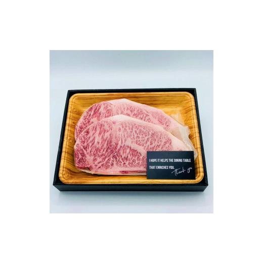 ふるさと納税 福岡県 大川市 博多和牛サーロインステーキセット 500g（250g×2枚）